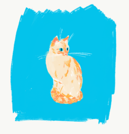 Veruska Ceruolo Illustration