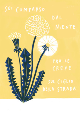 Veruska Ceruolo Illustration