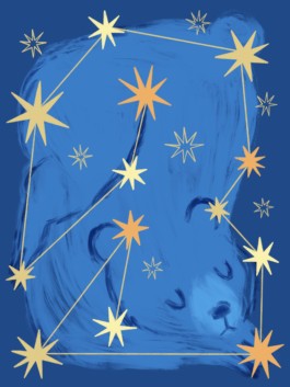 Veruska Ceruolo Illustration