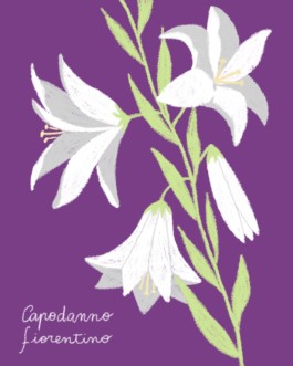 Veruska Ceruolo Illustration