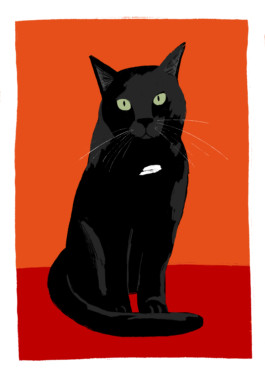 Veruska Ceruolo Illustration