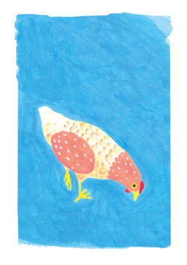 Veruska Ceruolo Illustration