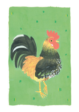 Veruska Ceruolo Illustration