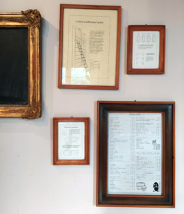 Veruska Ceruolo Illustration