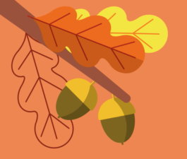 Veruska Ceruolo Illustration